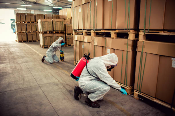 Best Flea Control Services  in Fort Carson, CO