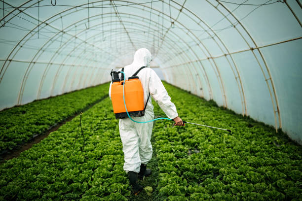 Best Affordable Pest Control Services  in Fort Carson, CO