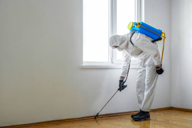 Best Bed Bug Extermination  in Fort Carson, CO