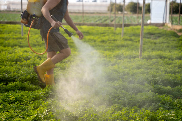 Best Wasp Removal Services  in Fort Carson, CO