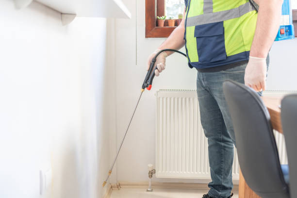 Flea Control Services in Fort Carson, CO