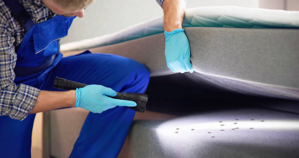Best Pest Prevention Services  in Fort Carson, CO