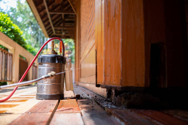 Best Local Pest Control Services  in Fort Carson, CO