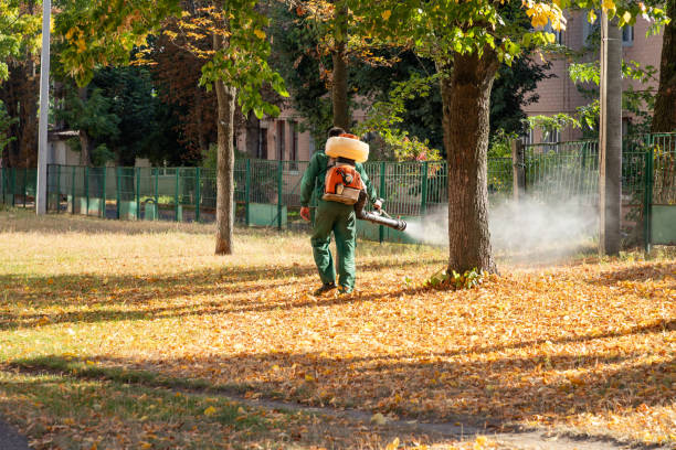 Best Local Pest Control Services  in Fort Carson, CO