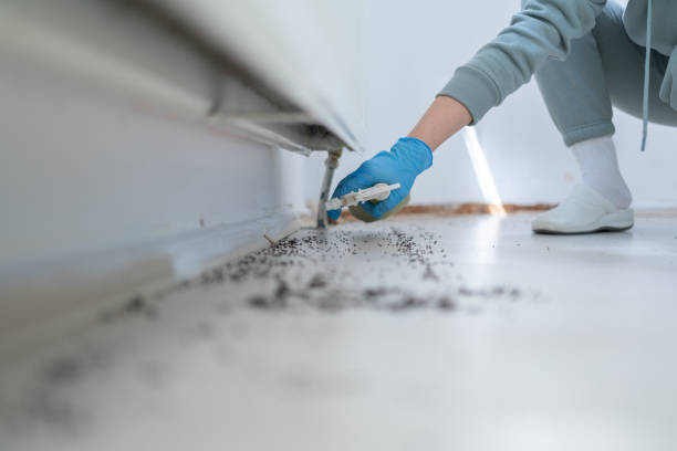 Best Commercial Pest Control Services  in Fort Carson, CO
