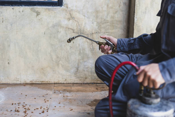 Reliable Fort Carson, CO Pest Control Solutions