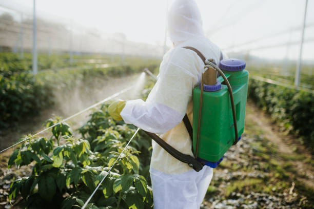 Best Pest Removal Services  in Fort Carson, CO